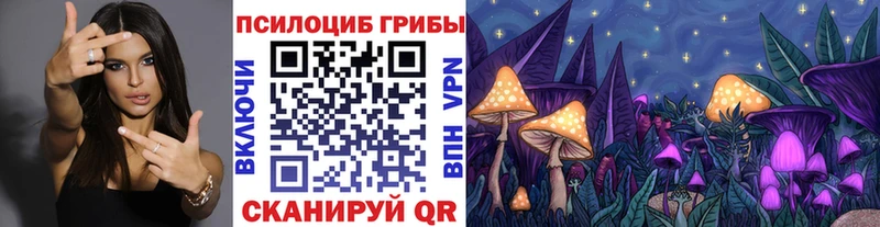 Галлюциногенные грибы прущие грибы  Медногорск 